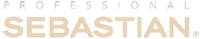 Logo Sebsastian
